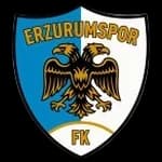 Erzurumspor FK