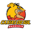 Caxias do Sul