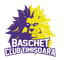 SCM Timisoara
